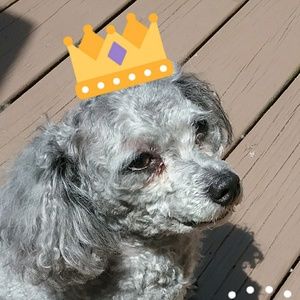 Meet your Posher, Tracy